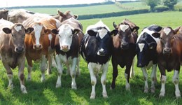 New 'Fight the Fluke' Video Highlights the Importance of Control